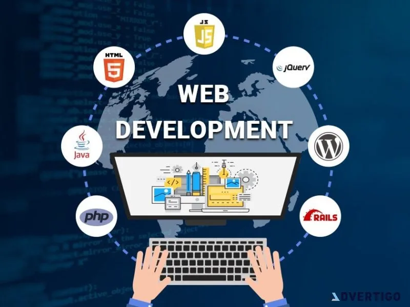 Expert website development services in india - vflyorions