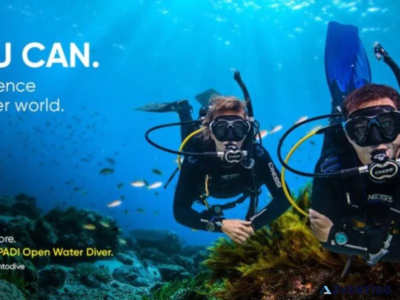 Pleasure diving fujairah