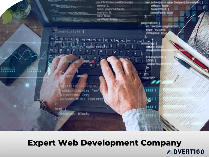Expert web development company | devwings