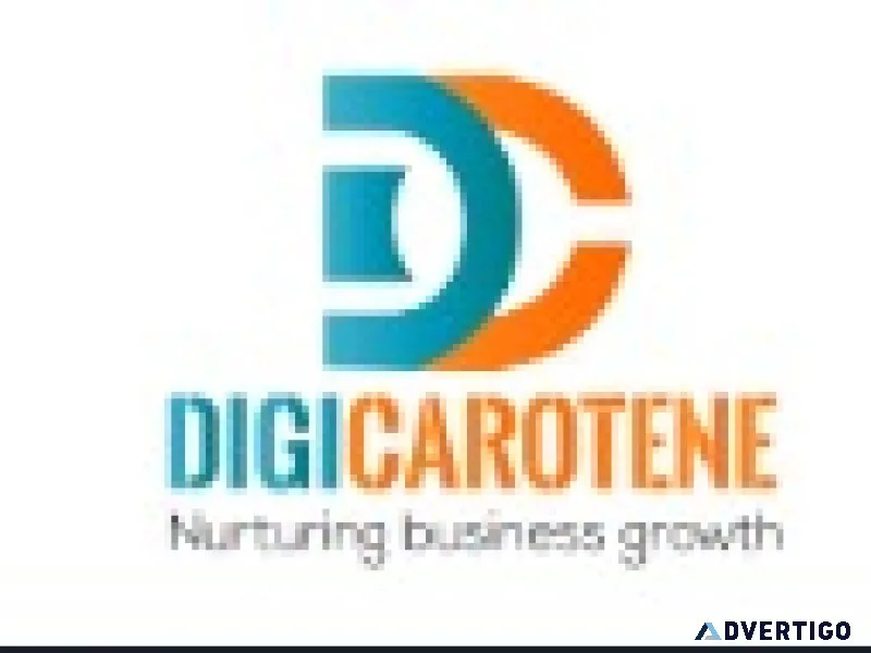 Elevate a premier website development company in hyderabad