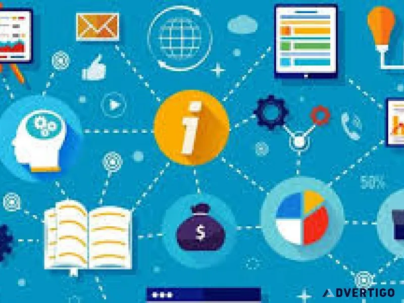 Website design development company