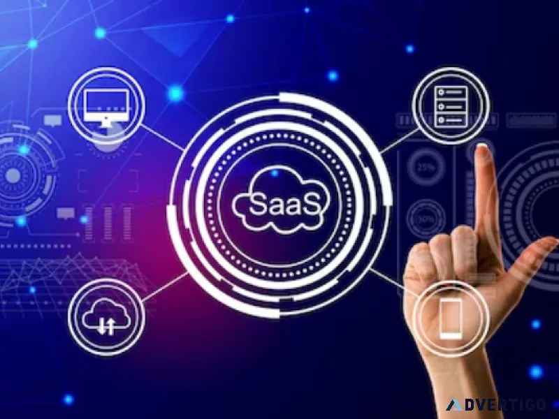 Seo company in india