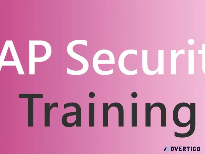 Mastering sap security: from basics to advanced