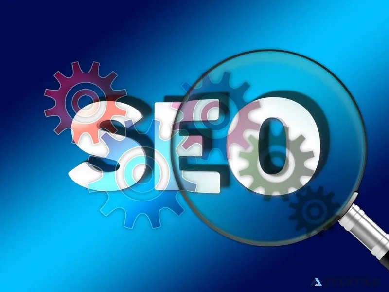 Top-rated seo services in india - eglogics softech