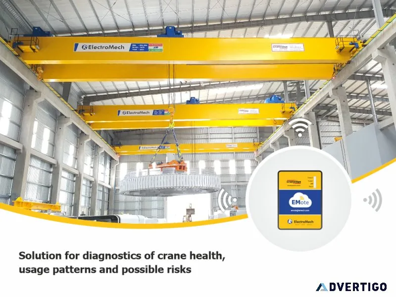 Best eot crane manufacturer in india