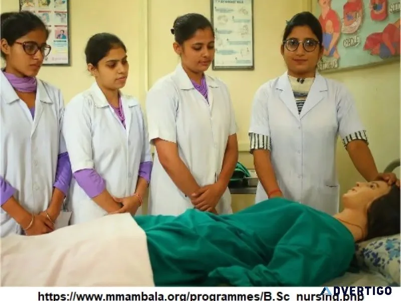 B sc nursing total fees