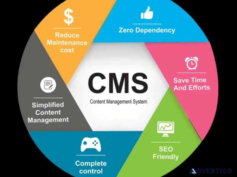 Content management system (cms)
