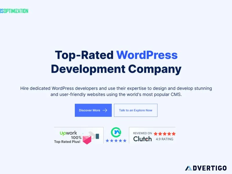 Custom wordpress web development services company