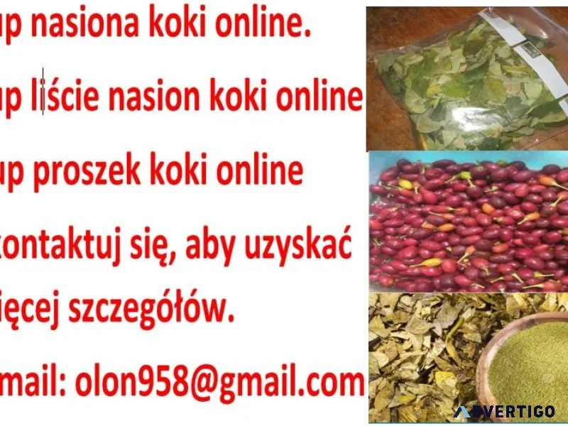 Buy coca seeds online