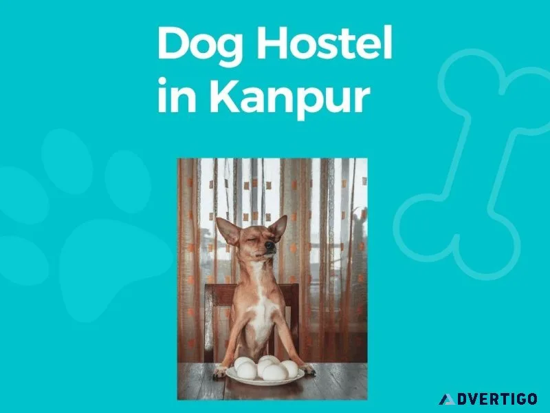 Dog Hostel Kanpur At Affordable Price