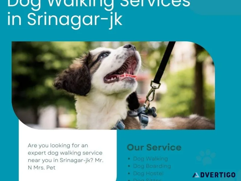 Expert Dog Walking Services Srinagar-jk