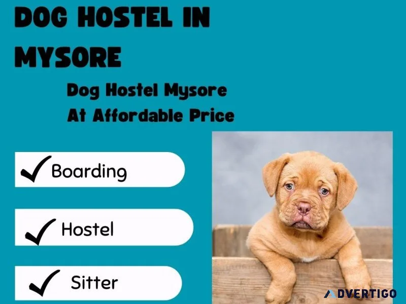 Affordable Dog Boarding Services in Mysore