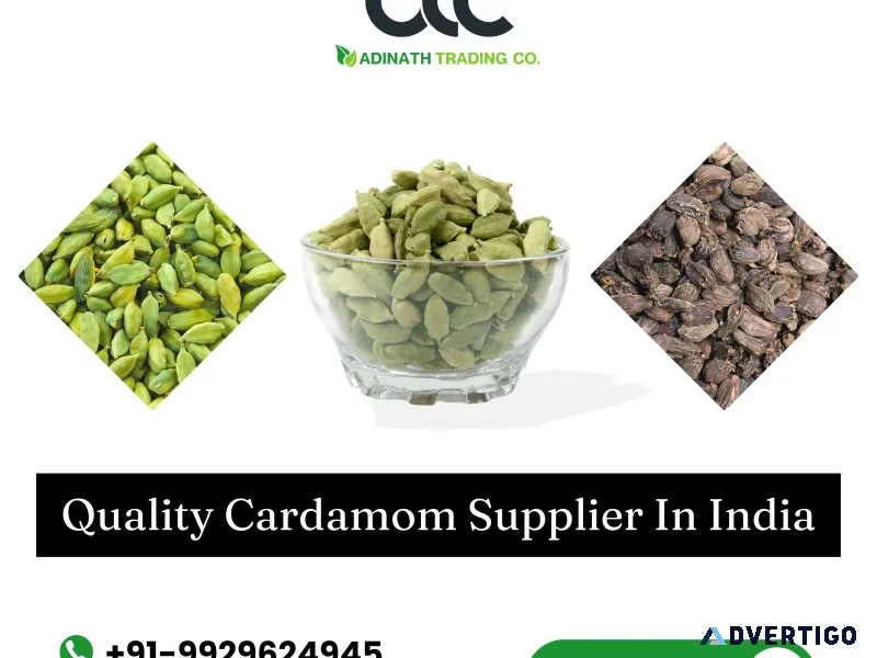 Best quality cardamom supplier in india at best wholesale price