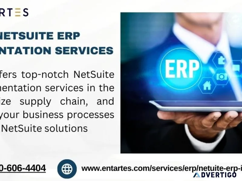 Expert netsuite erp implementation services