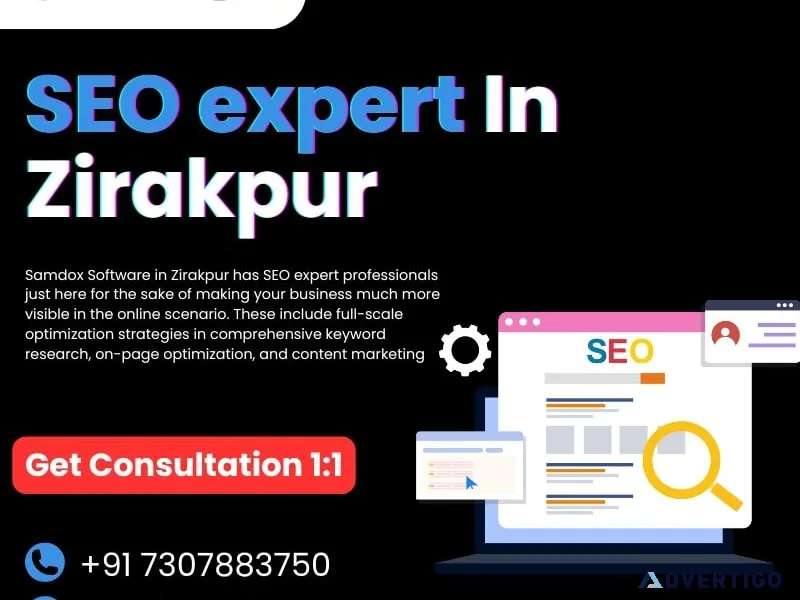 Seo expert samdox software in zirakpur