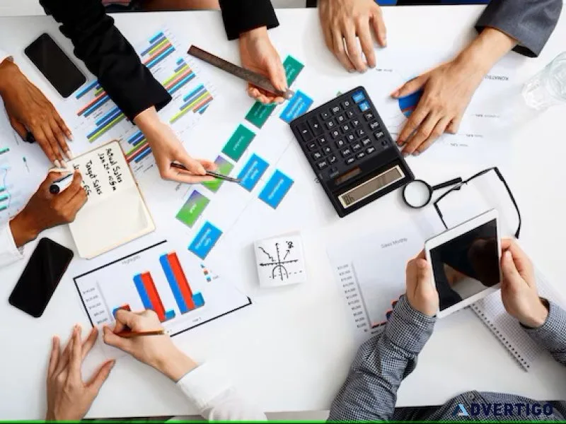 Dubai financial auditors
