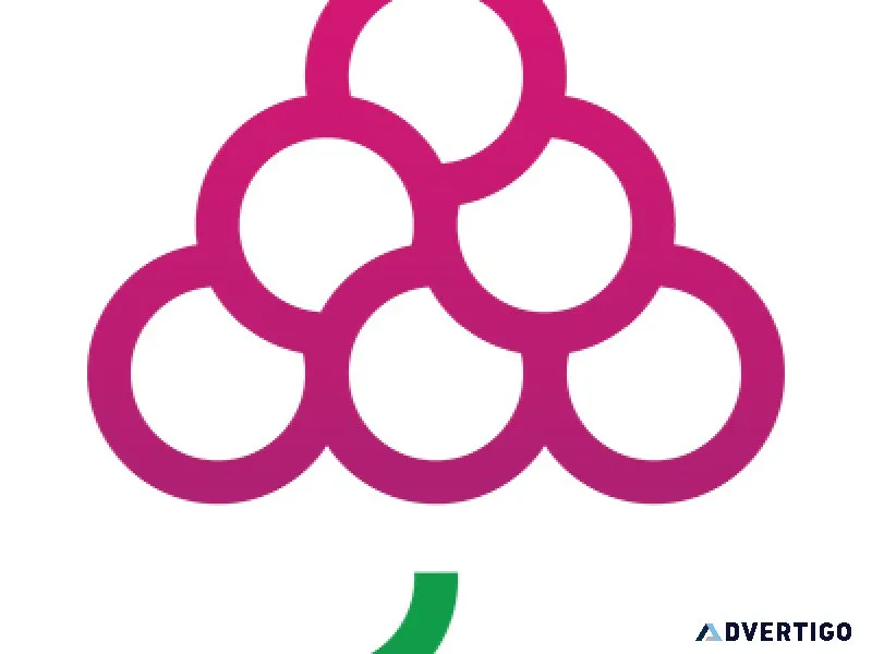 Software development company