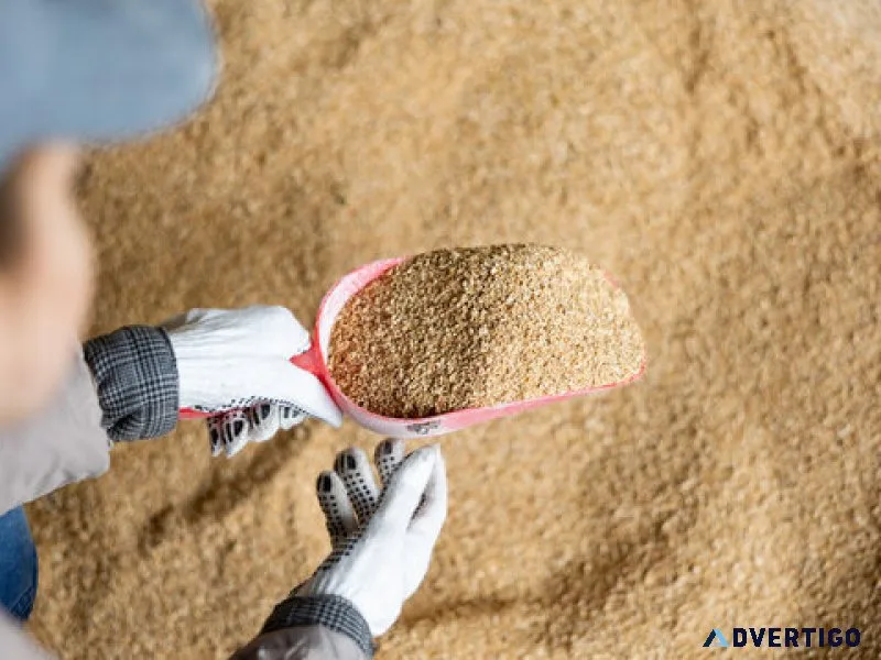 High-protein soybean meal for livestock