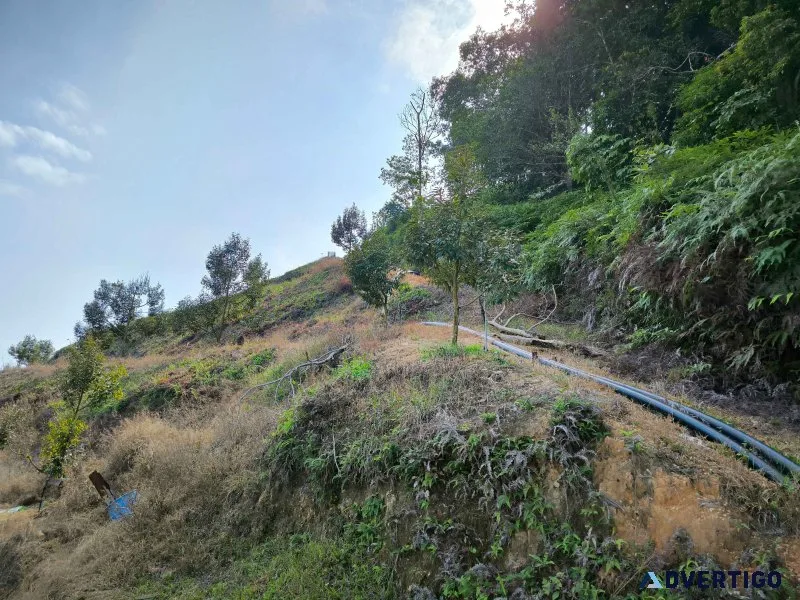 Agriculture land at sungai penjuring, bentong, pahang