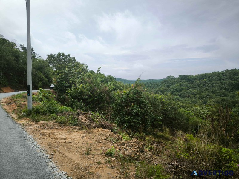 2 acres agri land at pedas fruits park, kundur hulu, n sembilan