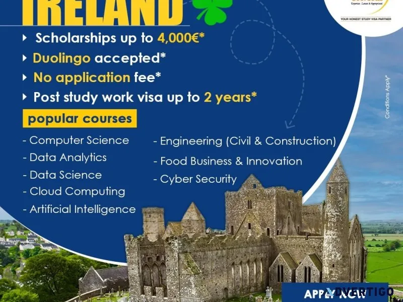 Study ireland consultants