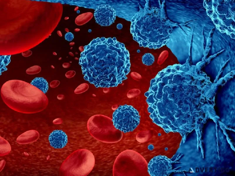 Best immunotherapy treatment in delhi with lyfe medicare