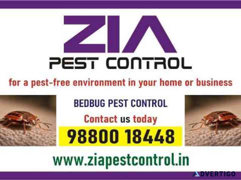 Service, other, pesticides, pest control solution