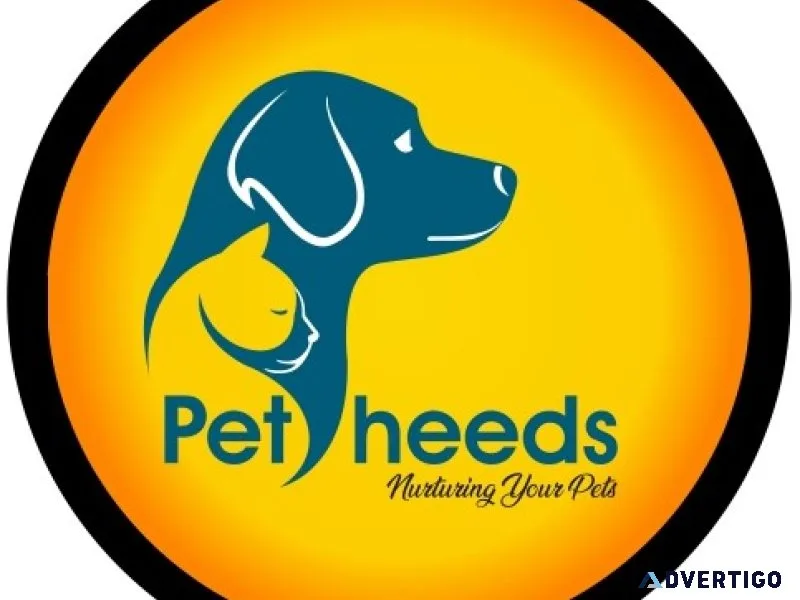 Petheeds | dog shampoo | shampoo for dogs | dog shampoo dry