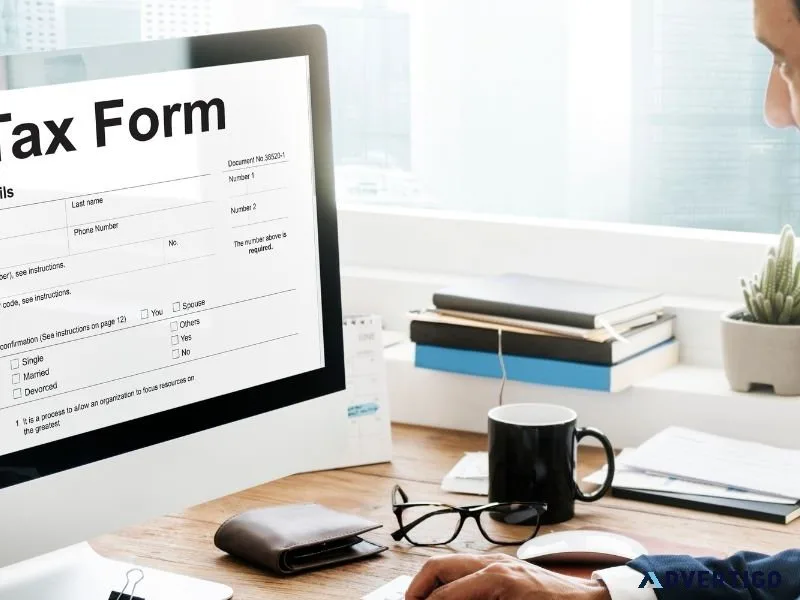 Best tax services in dubai | Premier Auditing