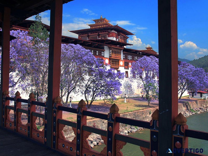 Darjeeling 7 point tour - safarnama holidays
