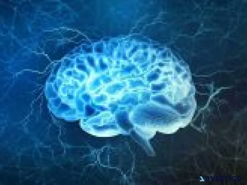 Brain food for all of us