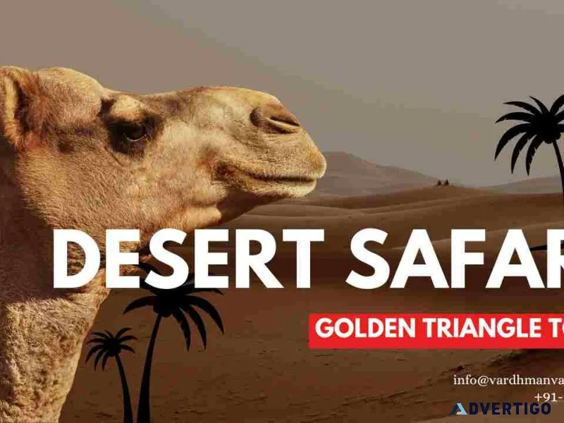 Desert safari with golden triangle