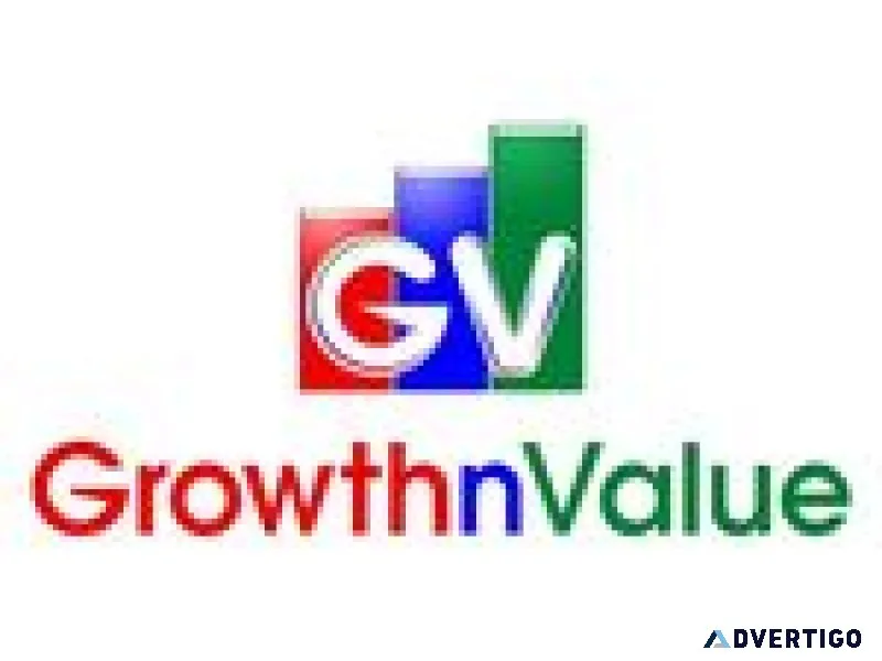 Expert mutual fund services in mumbai – growth n value