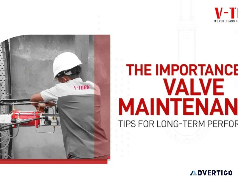 Importance of valve maintenance and tips