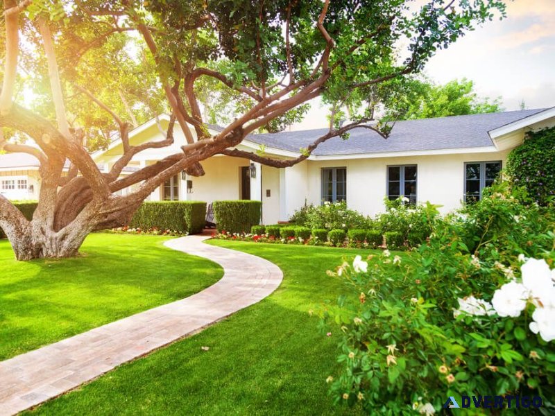 Exploring the benefits of a healthy landscape in a drought