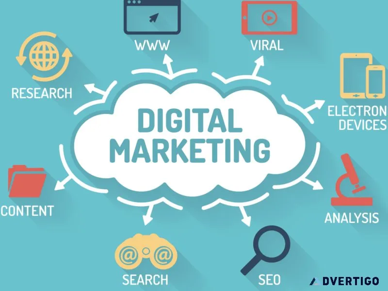 Best website development services in delhi