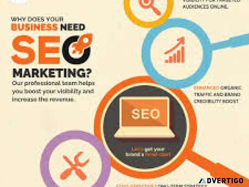 Professional seo services agency near me