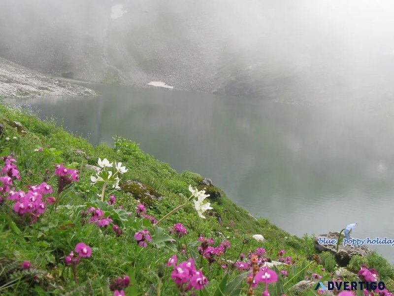 Valley of flowers trek