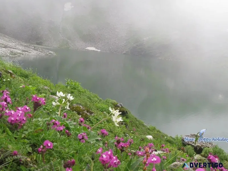 Valley of flowers trek