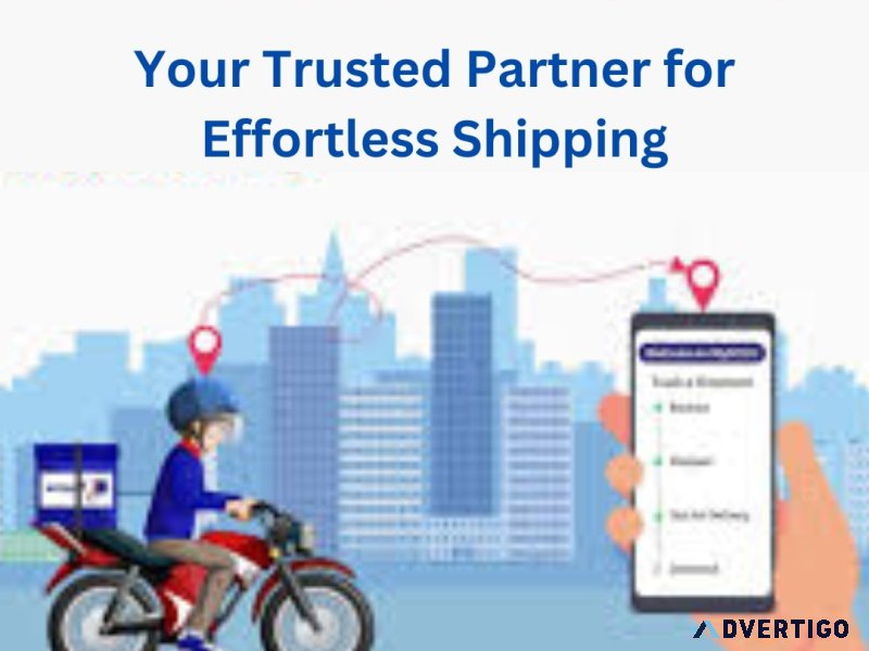 Dtdc courier services