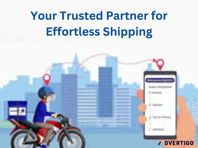 Dtdc courier services