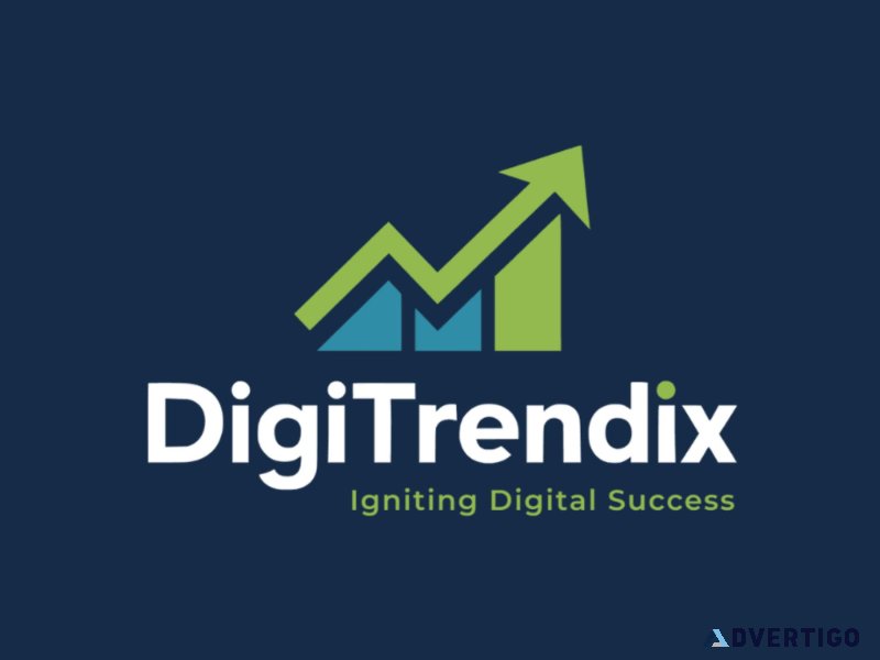 Digitrendix - digital marketing company