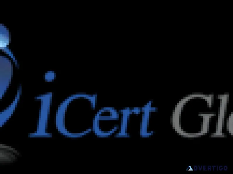Pgmp certification training course | icert global