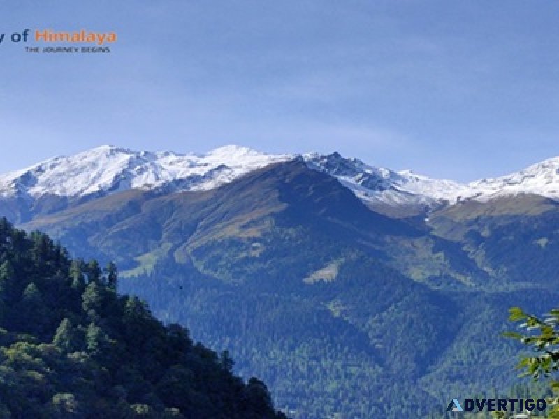Unwind in the majestic mountains of manali