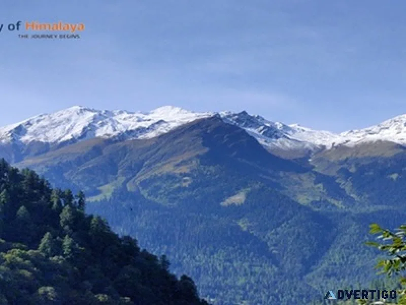 Unwind in the majestic mountains of manali