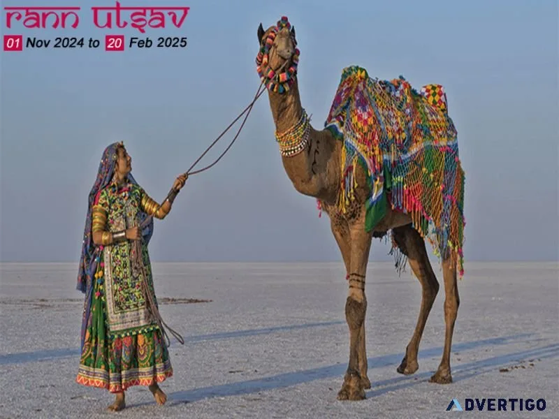 Rann utsav 2024-2025 | kutch white desert tent booking & prices