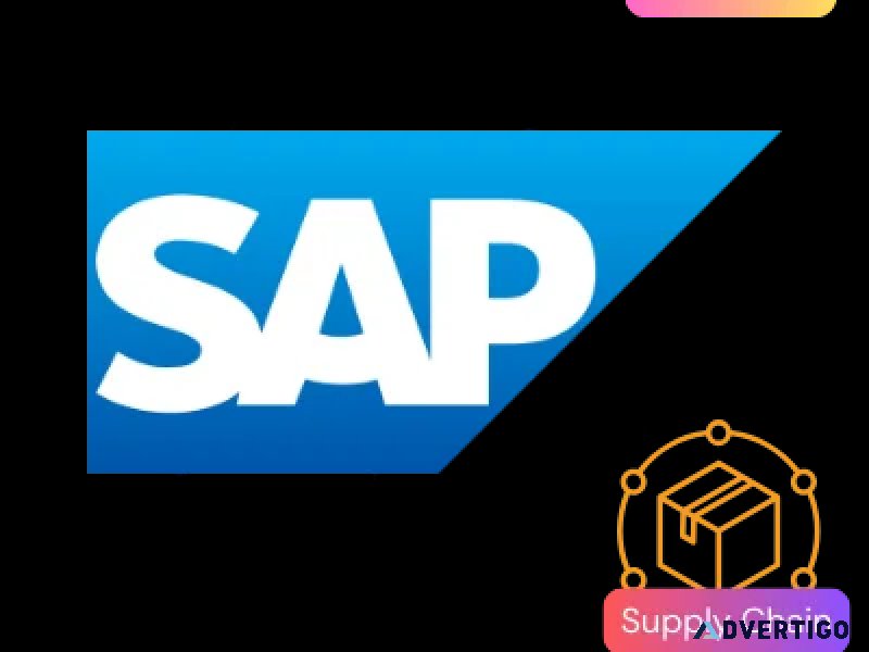 Launch your career with finest sap training in bangalore