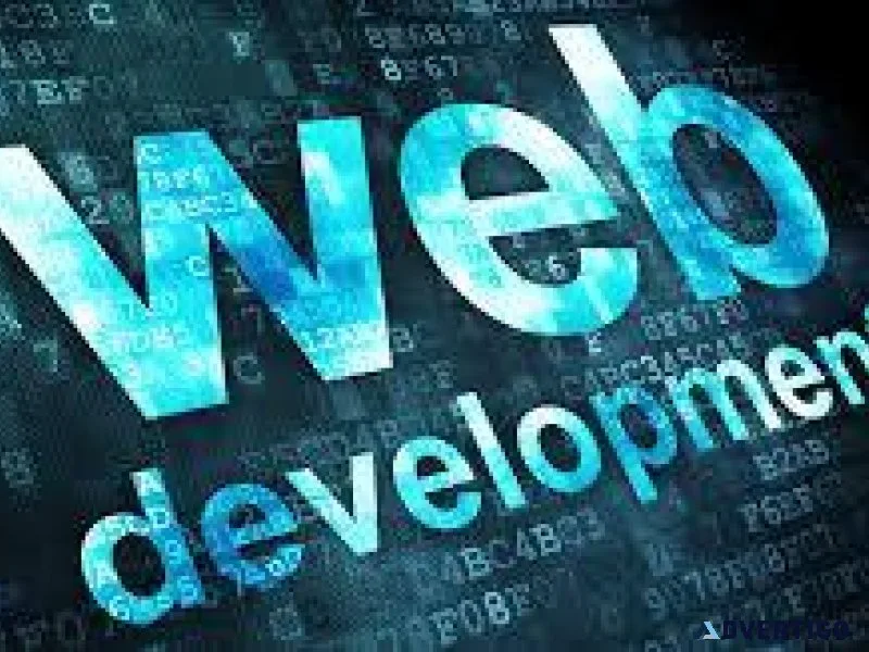 Web application development services in coimbatore