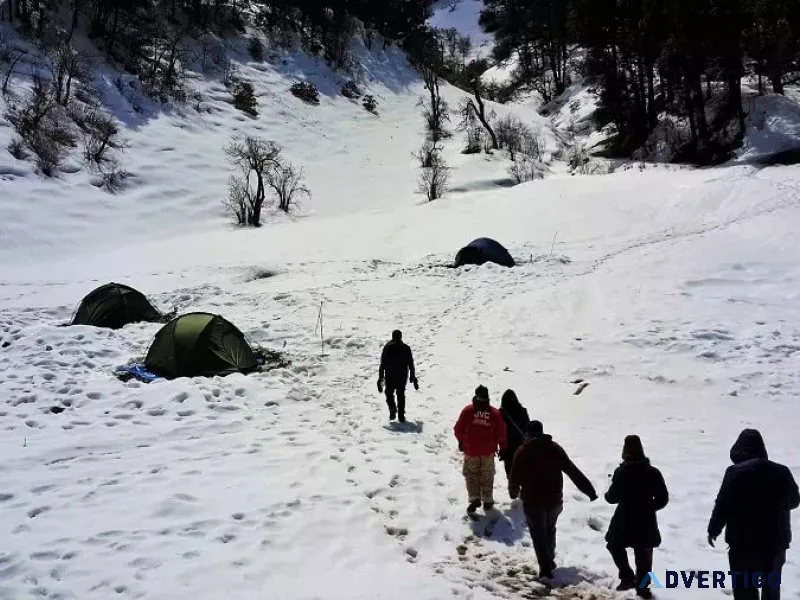 Explore the dayara bugyal trek with Himalaya shelter!