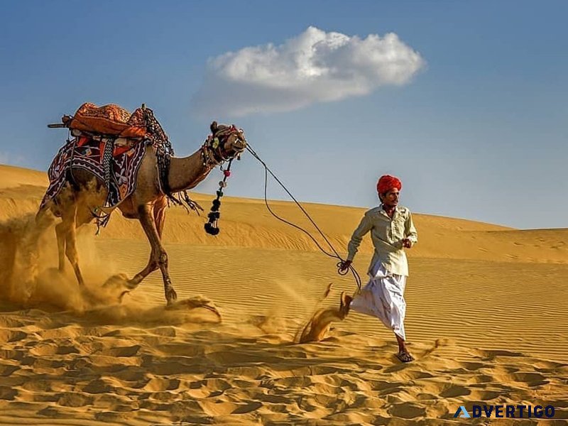 Camel safari in jaisalmer